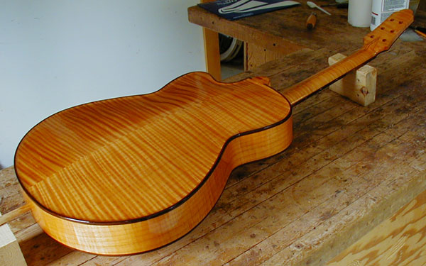 Small Archtop Back